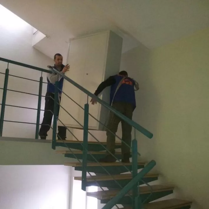 цик13
